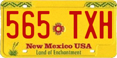 NM license plate 565TXH