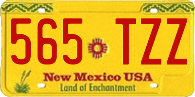 NM license plate 565TZZ