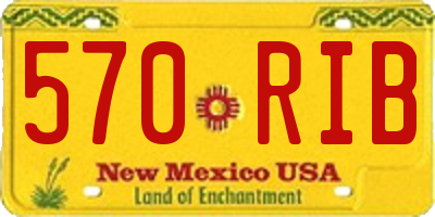NM license plate 570RIB
