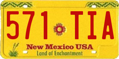 NM license plate 571TIA