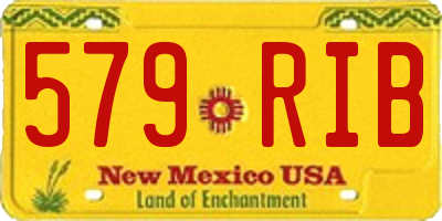 NM license plate 579RIB