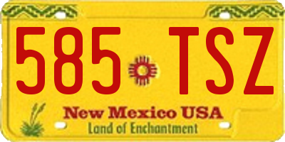 NM license plate 585TSZ