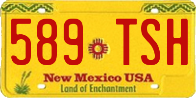 NM license plate 589TSH