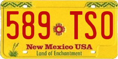 NM license plate 589TSO