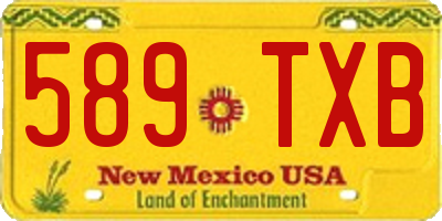 NM license plate 589TXB