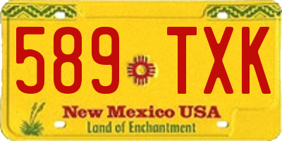 NM license plate 589TXK