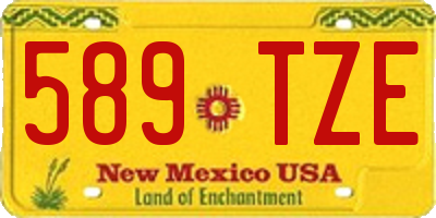 NM license plate 589TZE