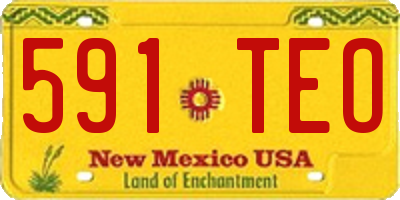 NM license plate 591TEO