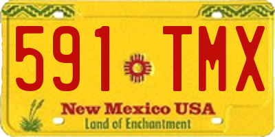 NM license plate 591TMX