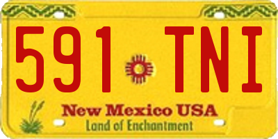 NM license plate 591TNI