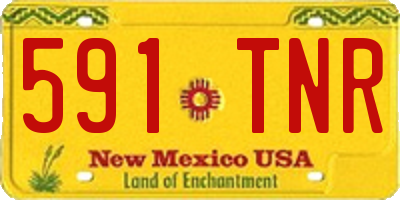 NM license plate 591TNR