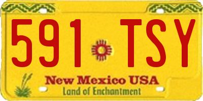 NM license plate 591TSY
