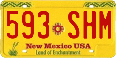 NM license plate 593SHM