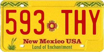 NM license plate 593THY