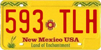 NM license plate 593TLH