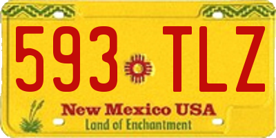 NM license plate 593TLZ
