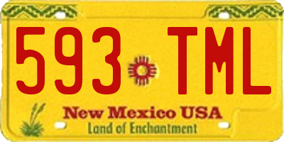 NM license plate 593TML