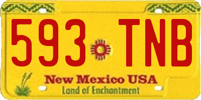 NM license plate 593TNB