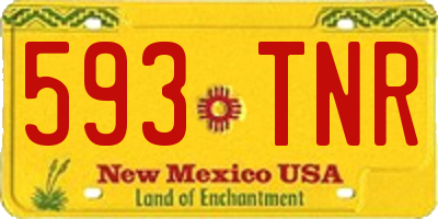 NM license plate 593TNR