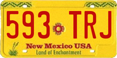 NM license plate 593TRJ
