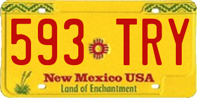 NM license plate 593TRY