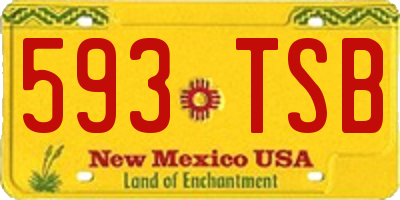 NM license plate 593TSB