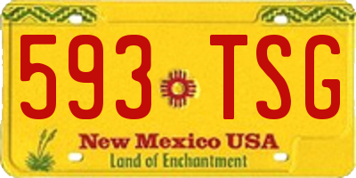 NM license plate 593TSG