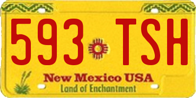 NM license plate 593TSH