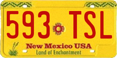 NM license plate 593TSL