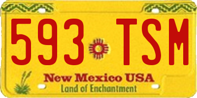 NM license plate 593TSM
