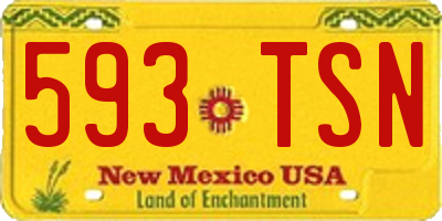 NM license plate 593TSN