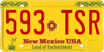 NM license plate 593TSR
