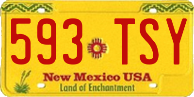 NM license plate 593TSY
