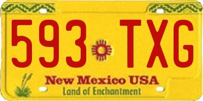 NM license plate 593TXG