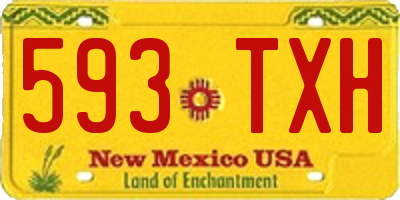 NM license plate 593TXH