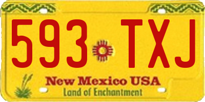NM license plate 593TXJ