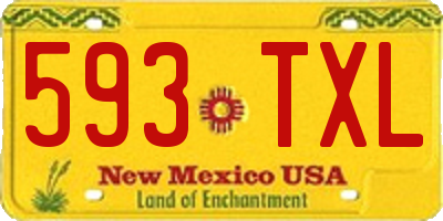 NM license plate 593TXL