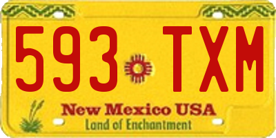 NM license plate 593TXM