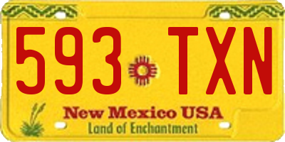 NM license plate 593TXN