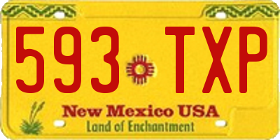 NM license plate 593TXP