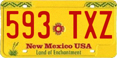 NM license plate 593TXZ
