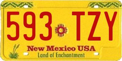 NM license plate 593TZY