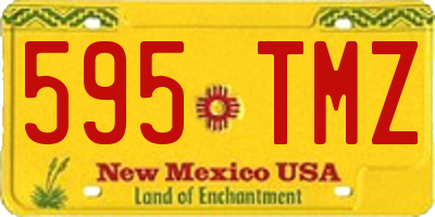 NM license plate 595TMZ