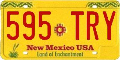 NM license plate 595TRY