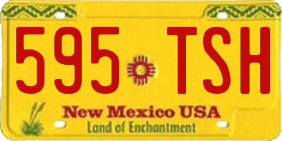 NM license plate 595TSH