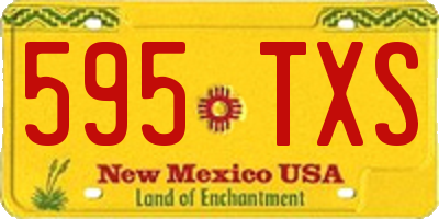 NM license plate 595TXS