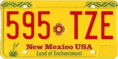 NM license plate 595TZE