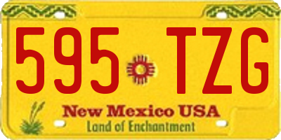 NM license plate 595TZG