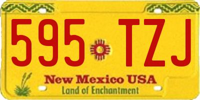 NM license plate 595TZJ
