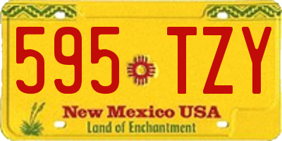 NM license plate 595TZY